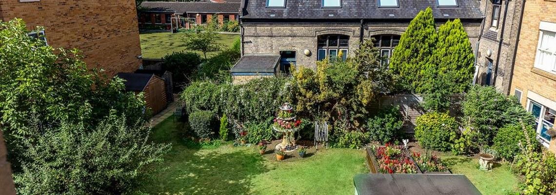garden_outdoor