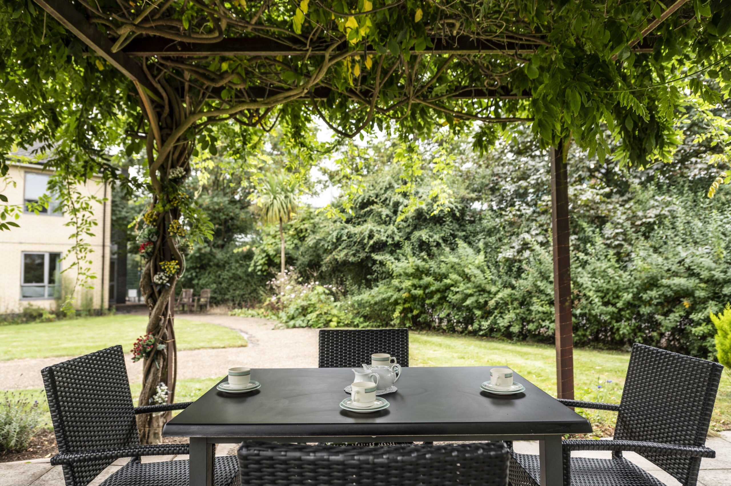 garden_outdoor