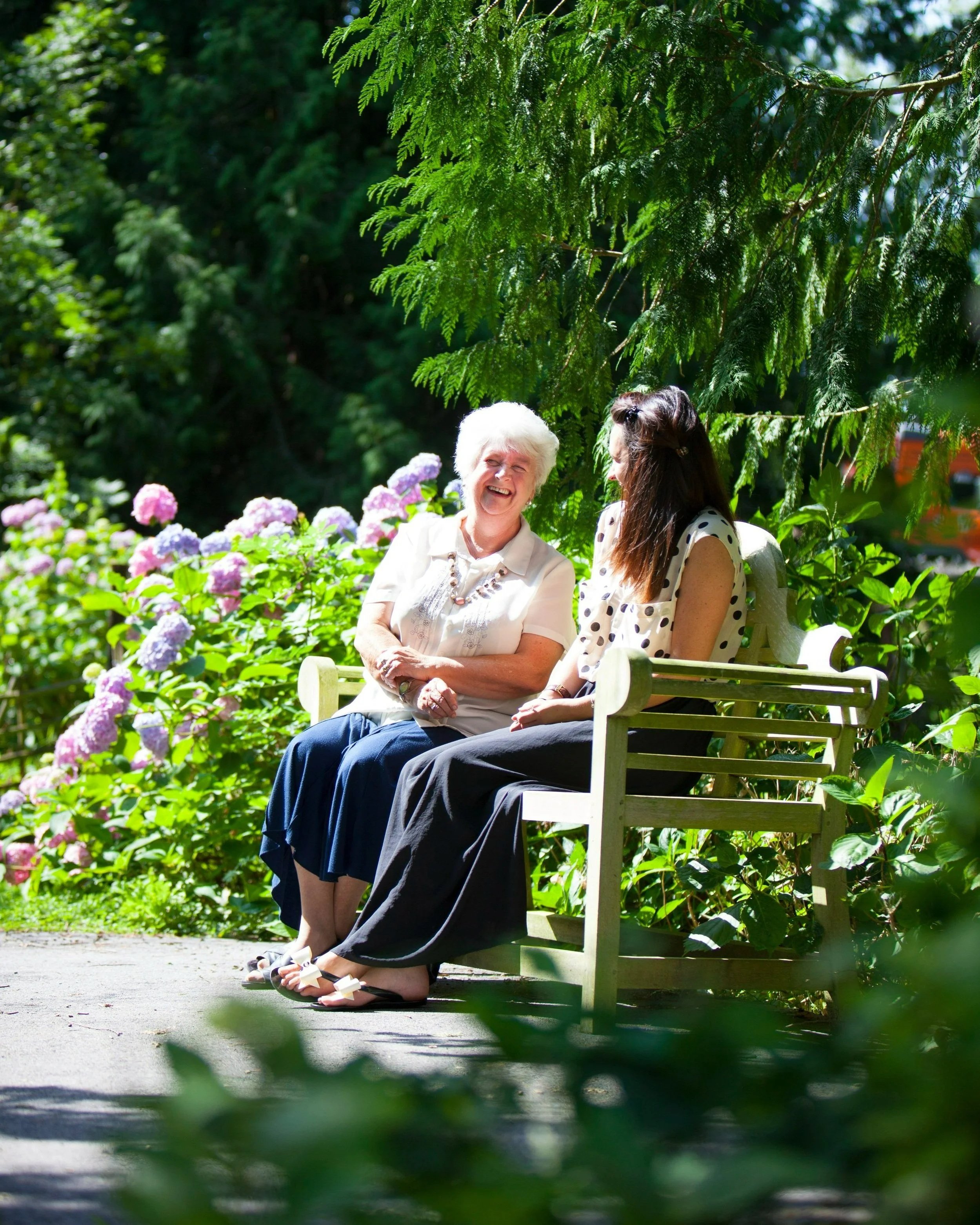 garden_outdoor