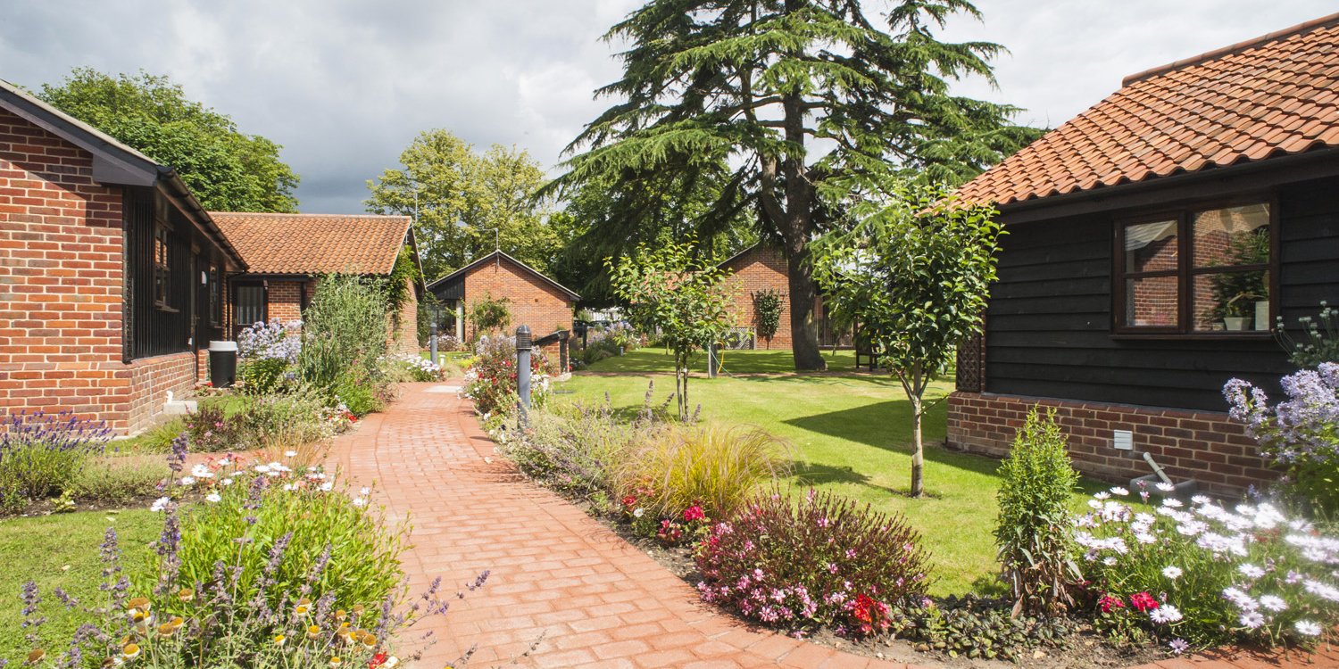 garden_outdoor
