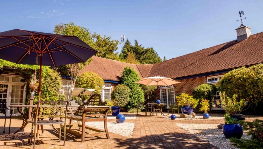 garden_outdoor