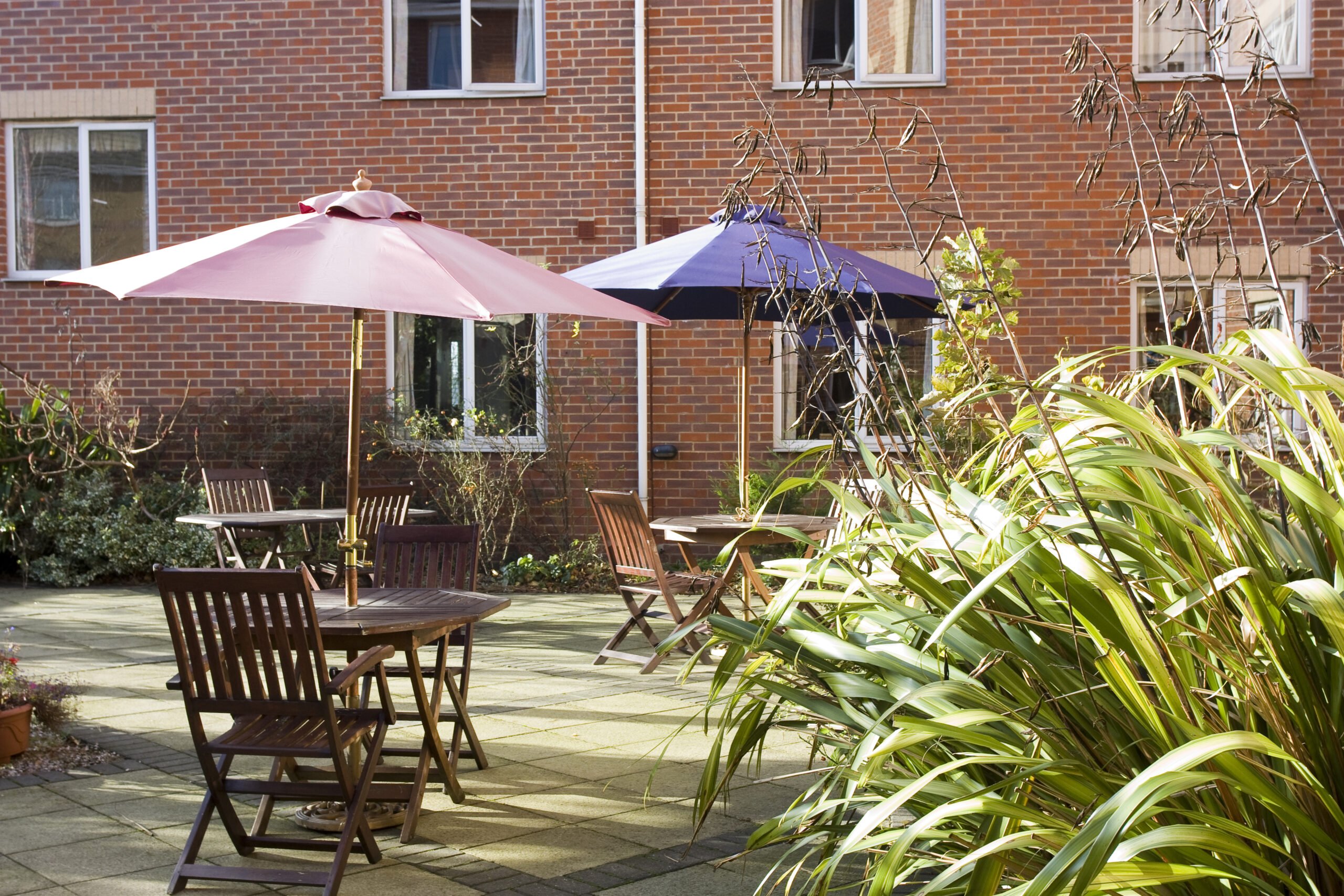 garden_outdoor