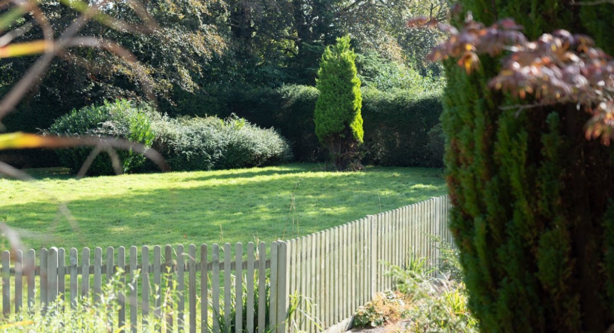 garden_outdoor