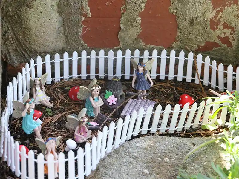 garden_outdoor