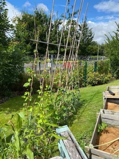 garden_outdoor