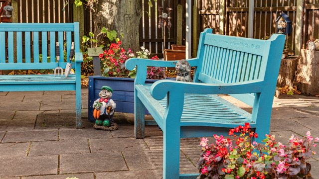 garden_outdoor