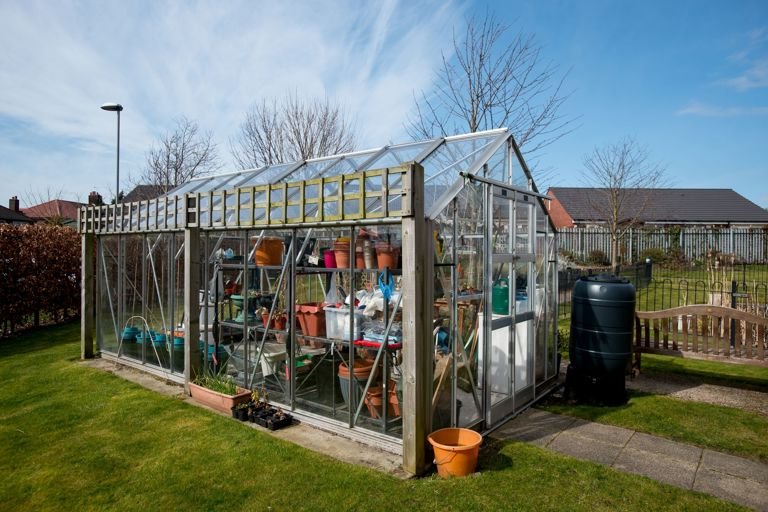 garden_outdoor