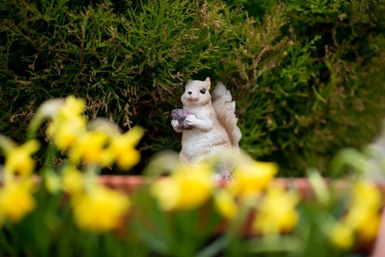 garden_outdoor