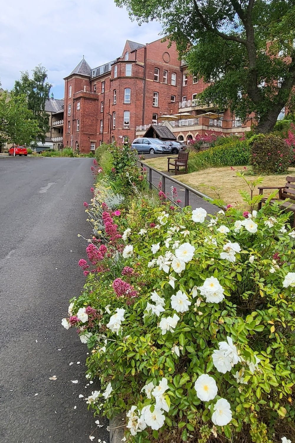 garden_outdoor