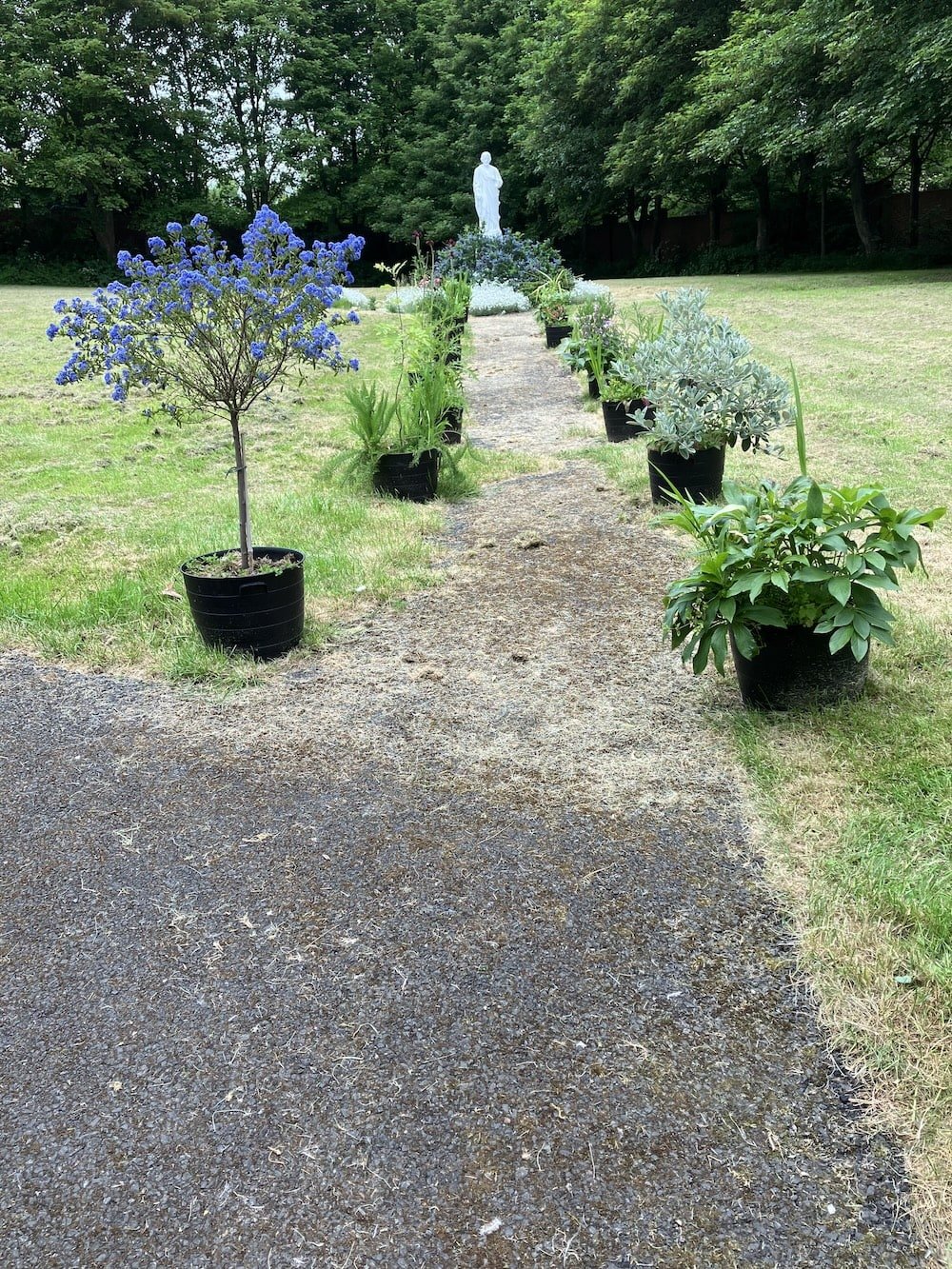 garden_outdoor