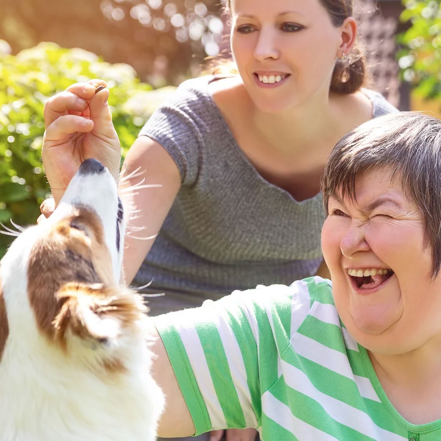 Oaksfield Care Ltd ∙ Caring with Excellence ∙ Grantham