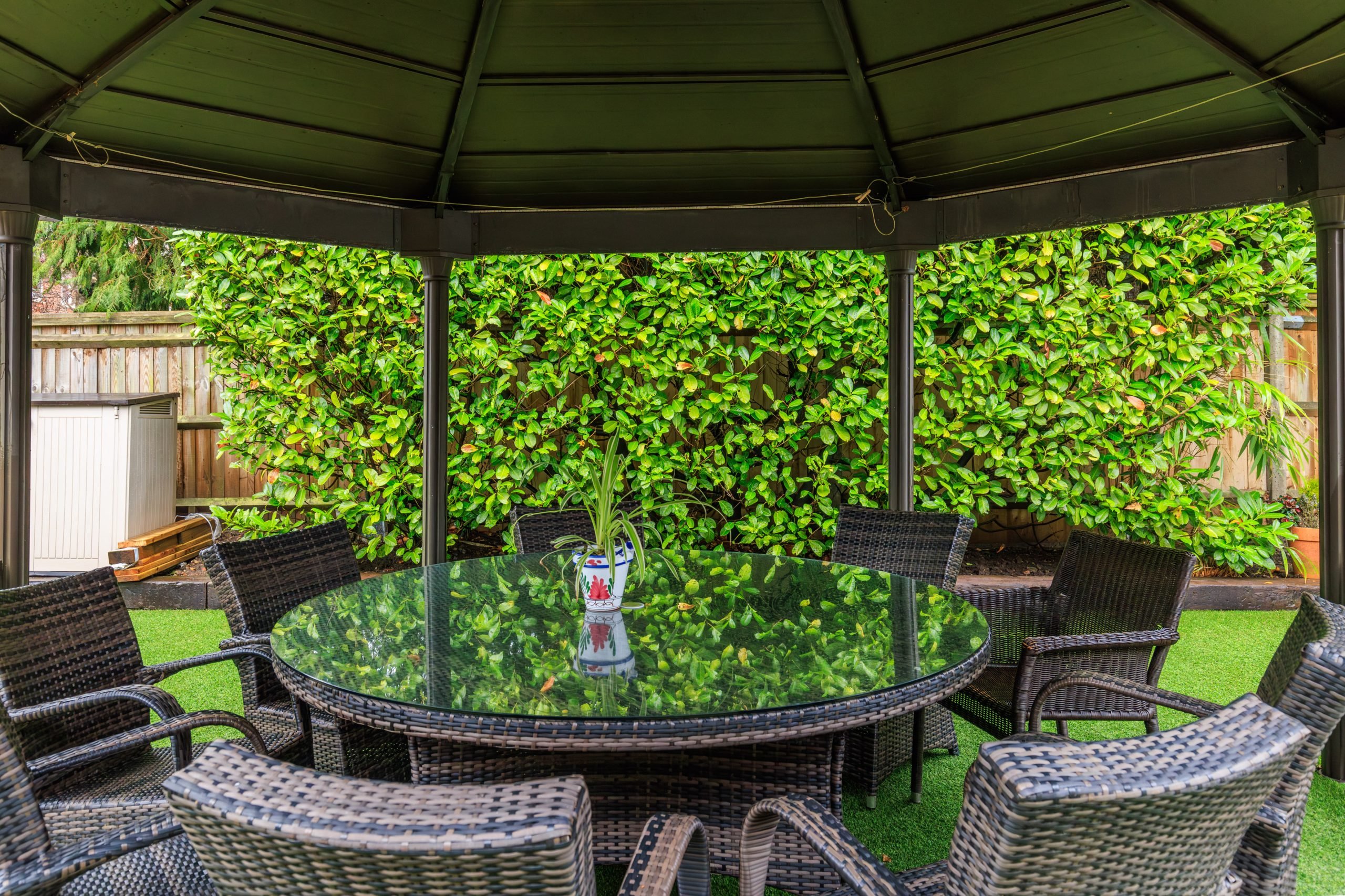 garden_outdoor