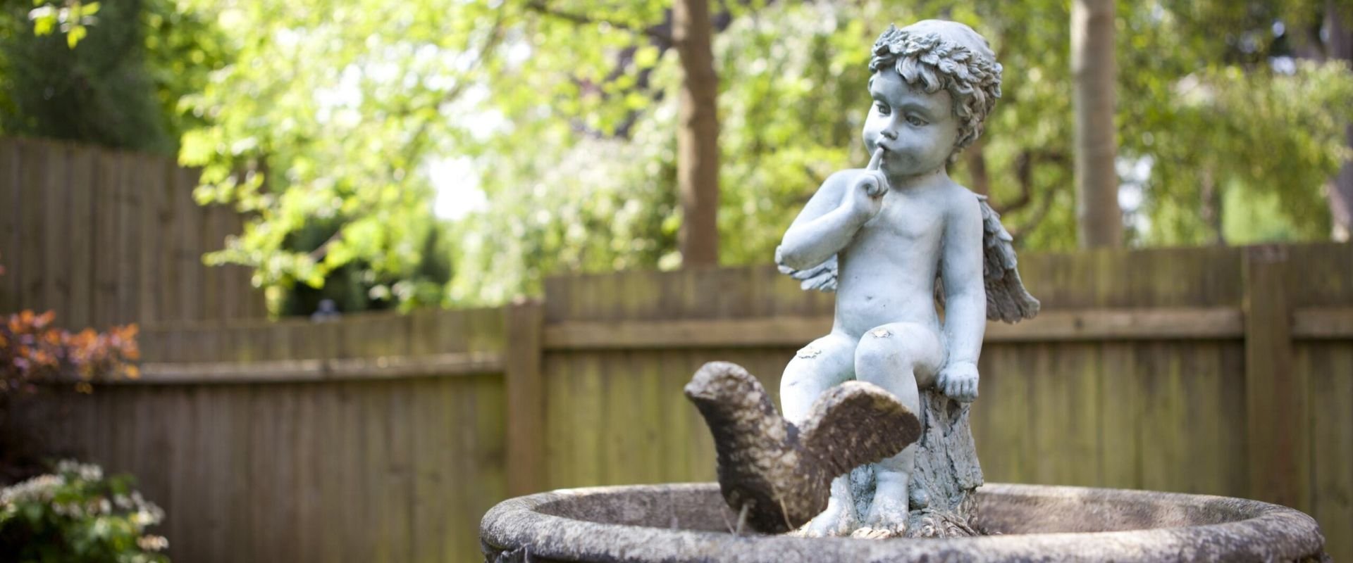 garden_outdoor