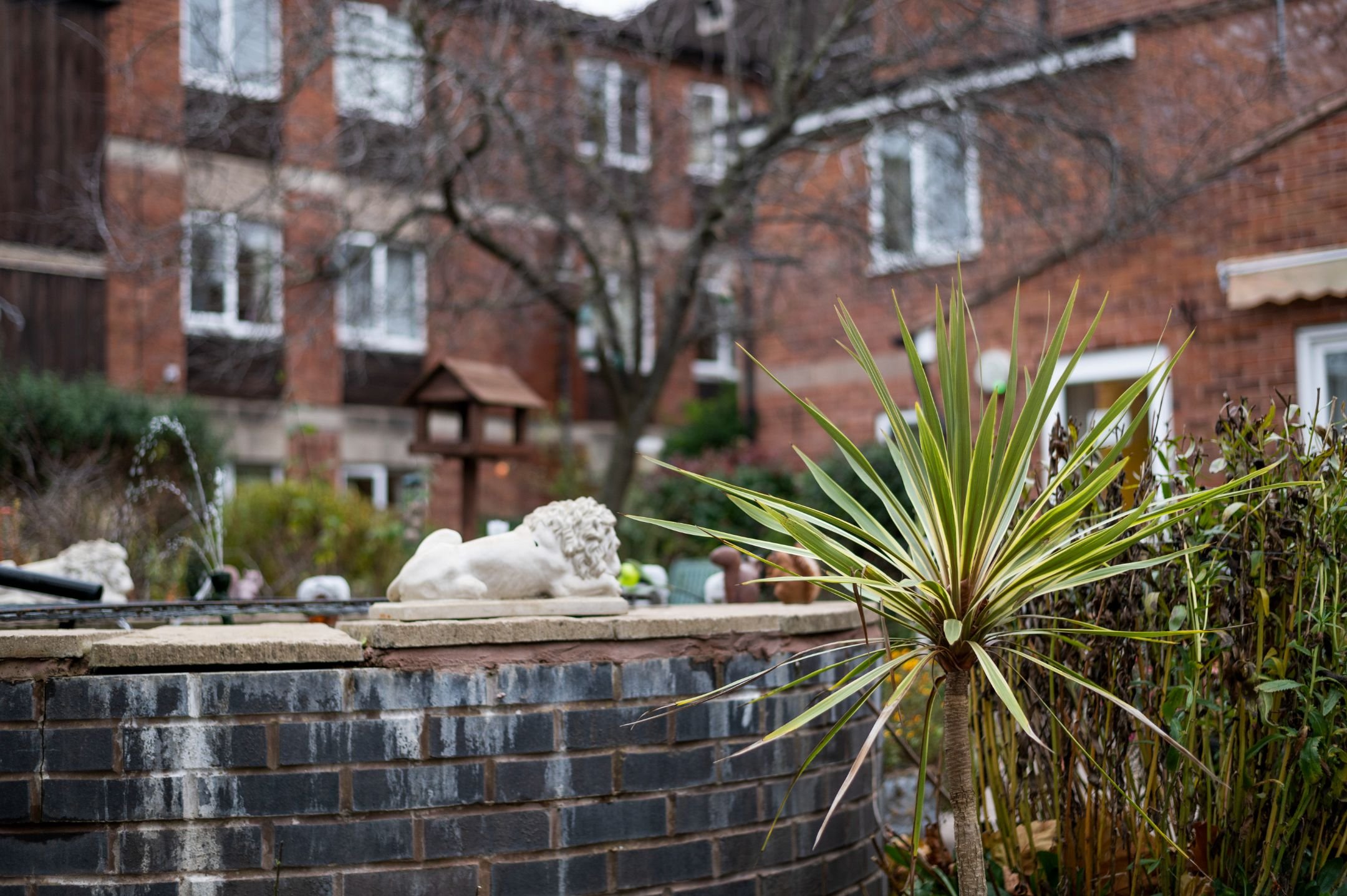 garden_outdoor
