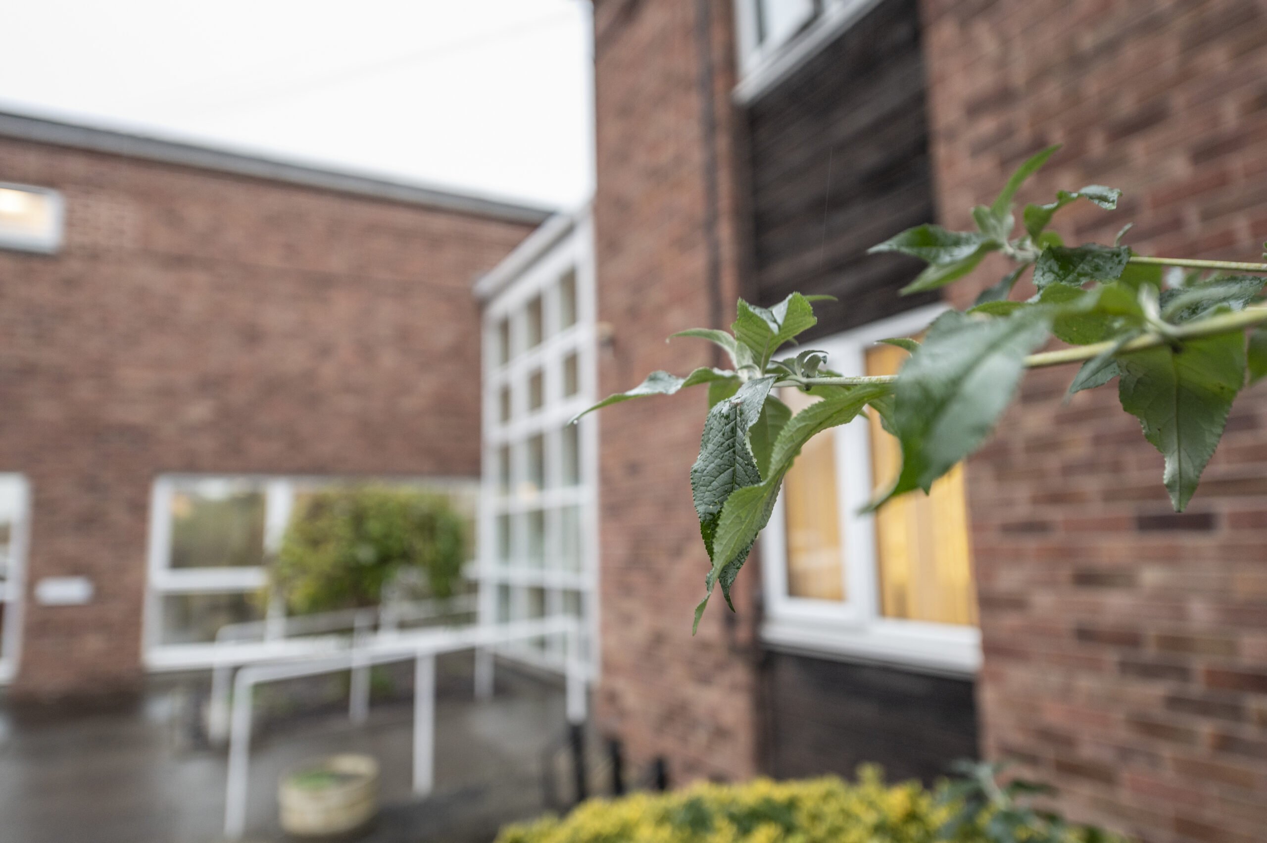 garden_outdoor