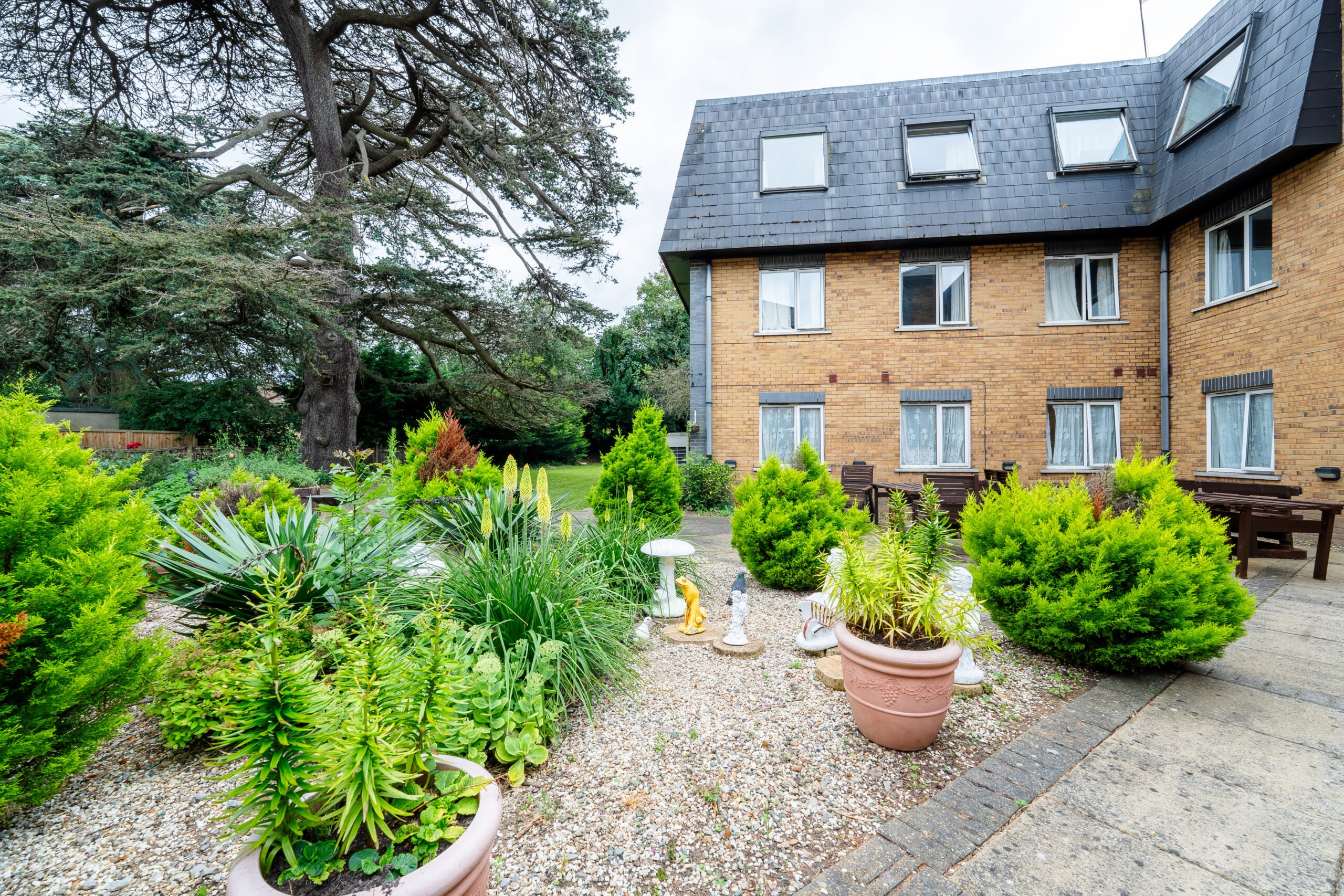 garden_outdoor