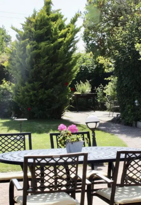 garden_outdoor