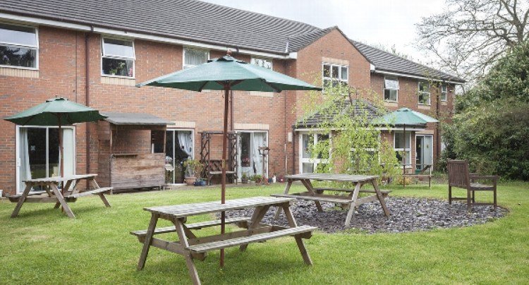 garden_outdoor