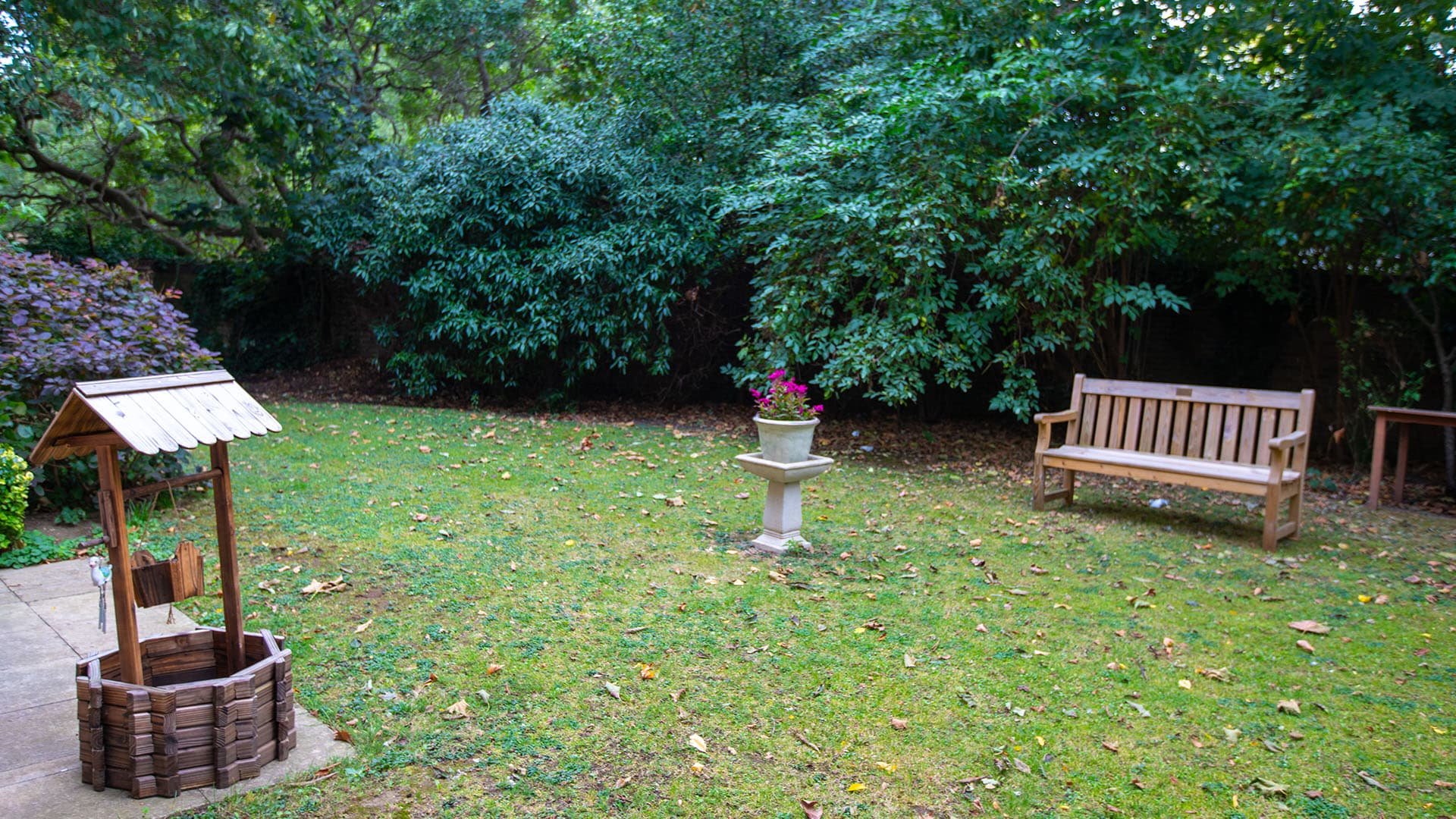garden_outdoor