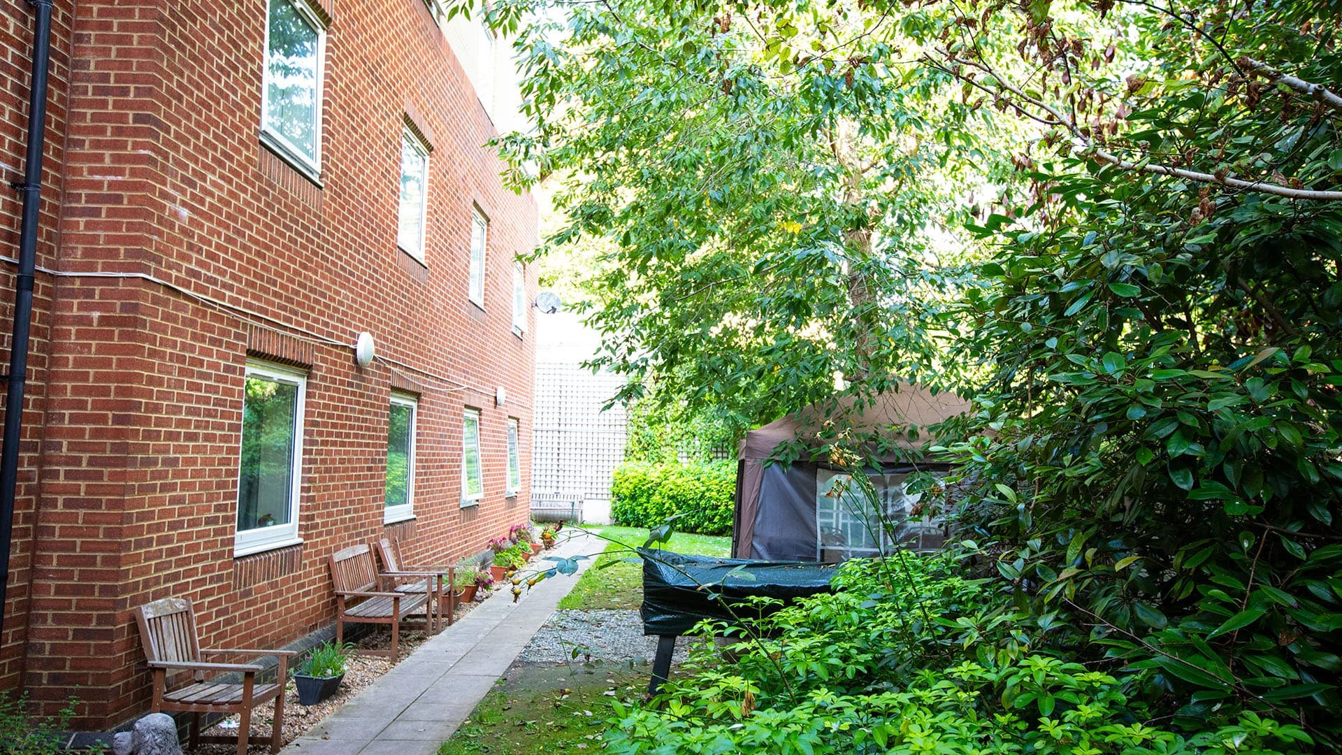 garden_outdoor