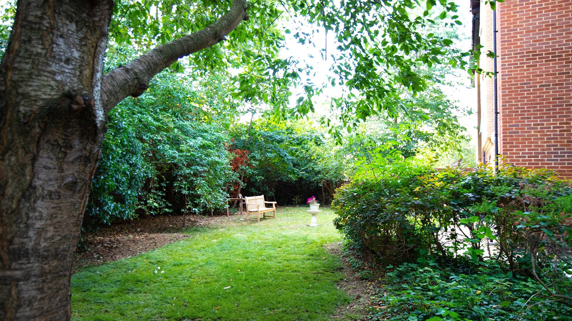 garden_outdoor