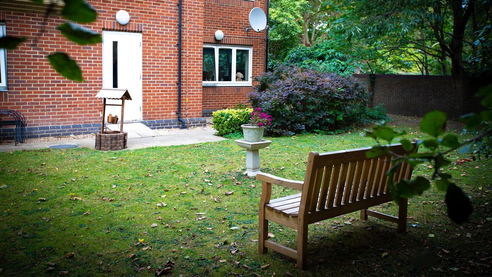 garden_outdoor