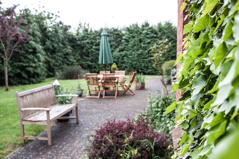 garden_outdoor