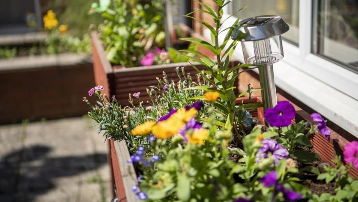 garden_outdoor