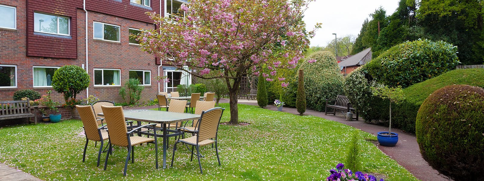garden_outdoor