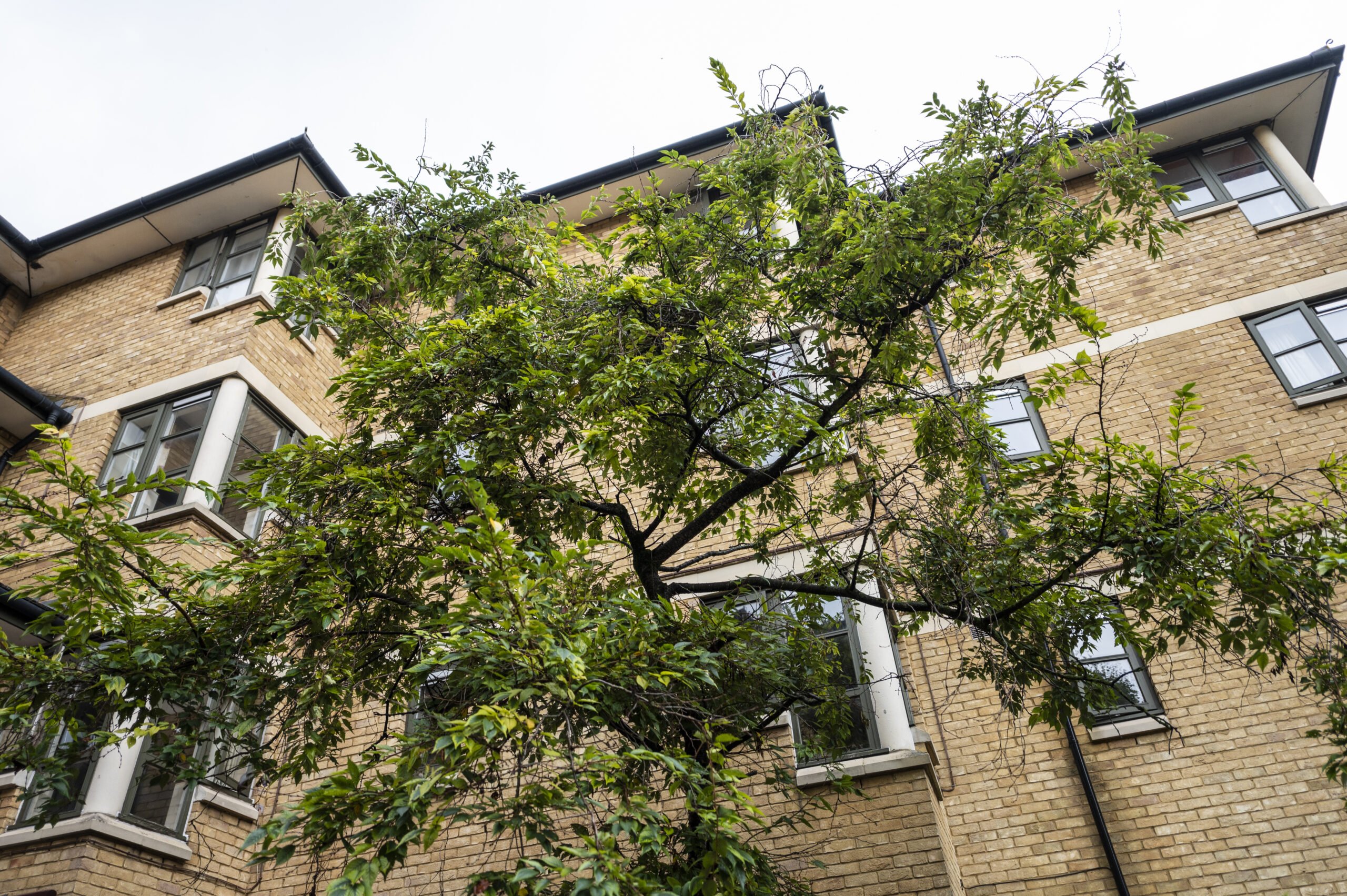 Alan Morkill House