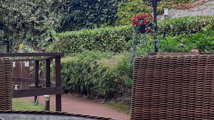 garden_outdoor