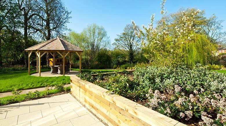 garden_outdoor