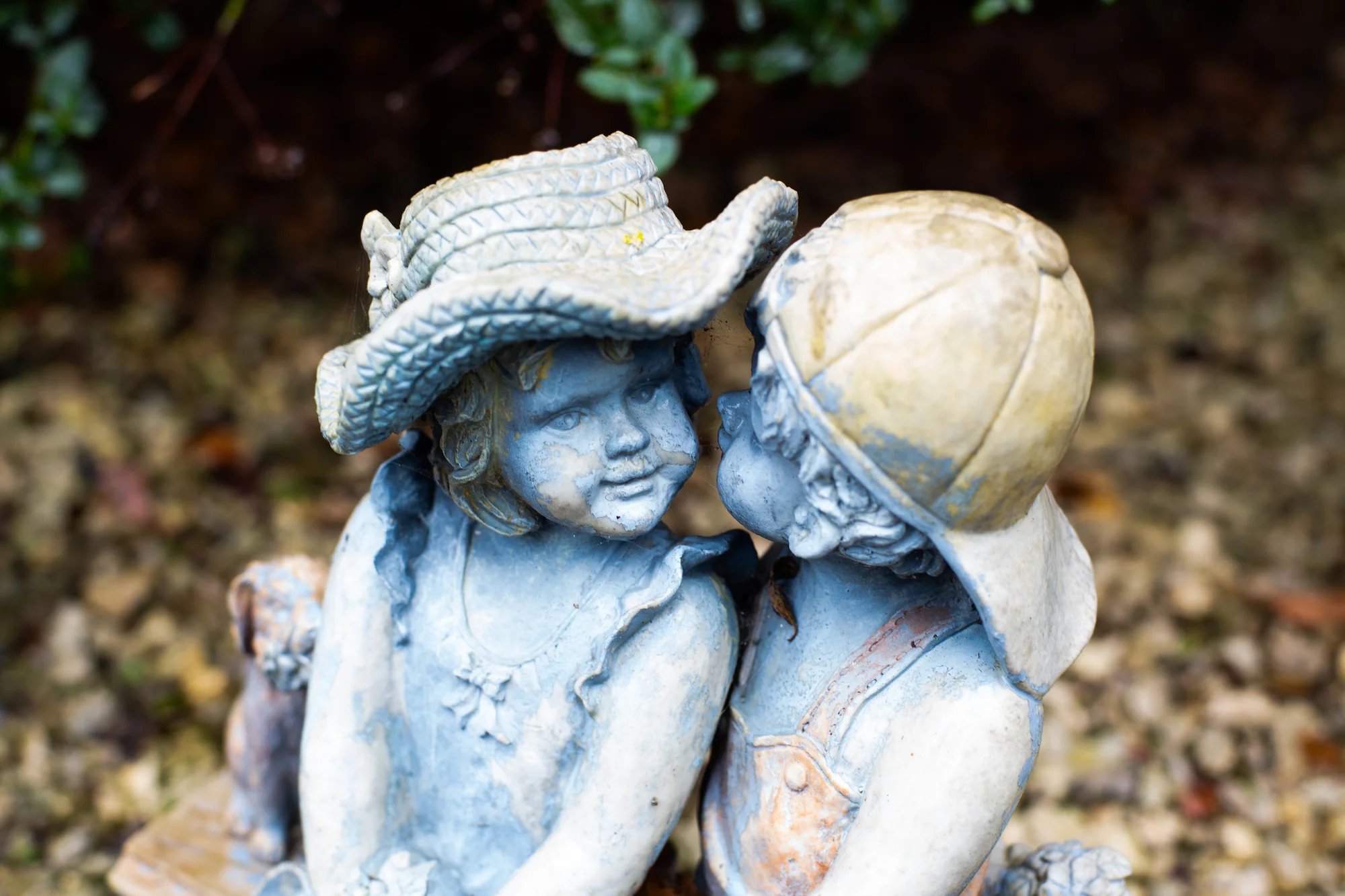 garden_outdoor