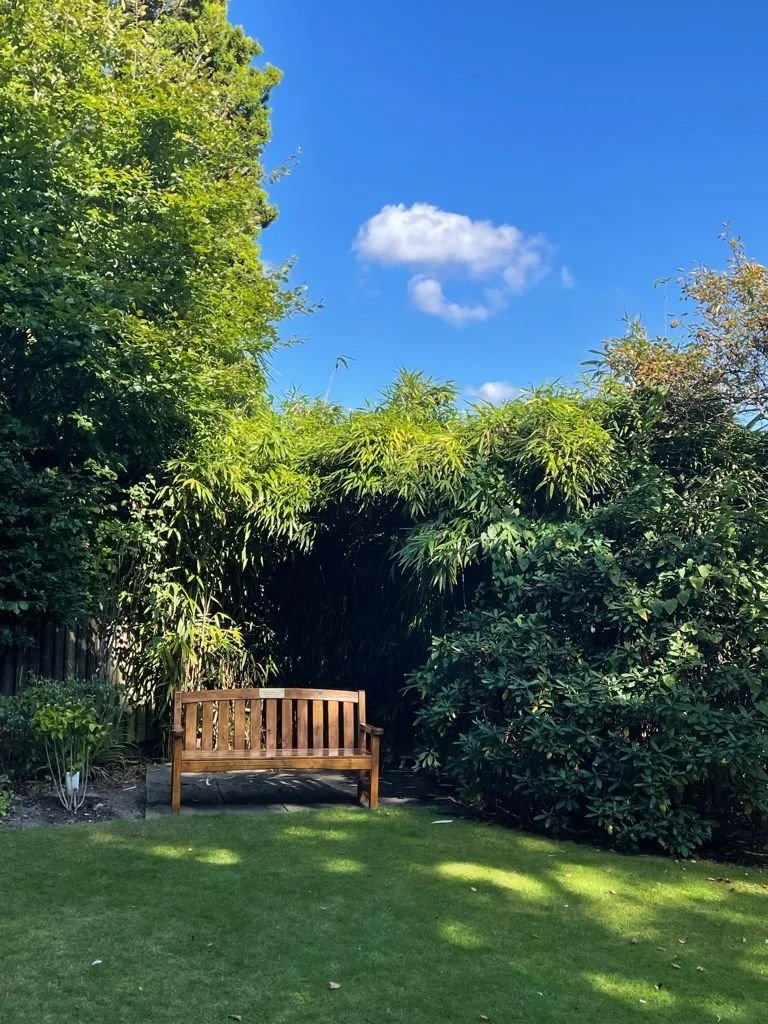 garden_outdoor