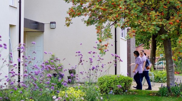 garden_outdoor