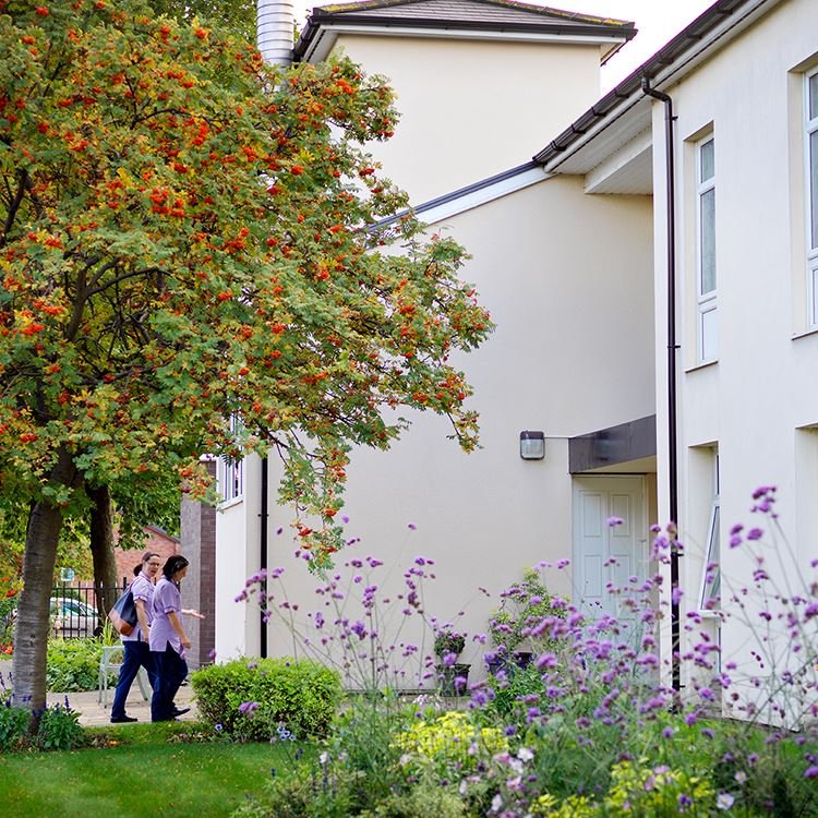 garden_outdoor