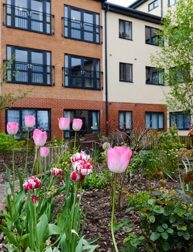 garden_outdoor