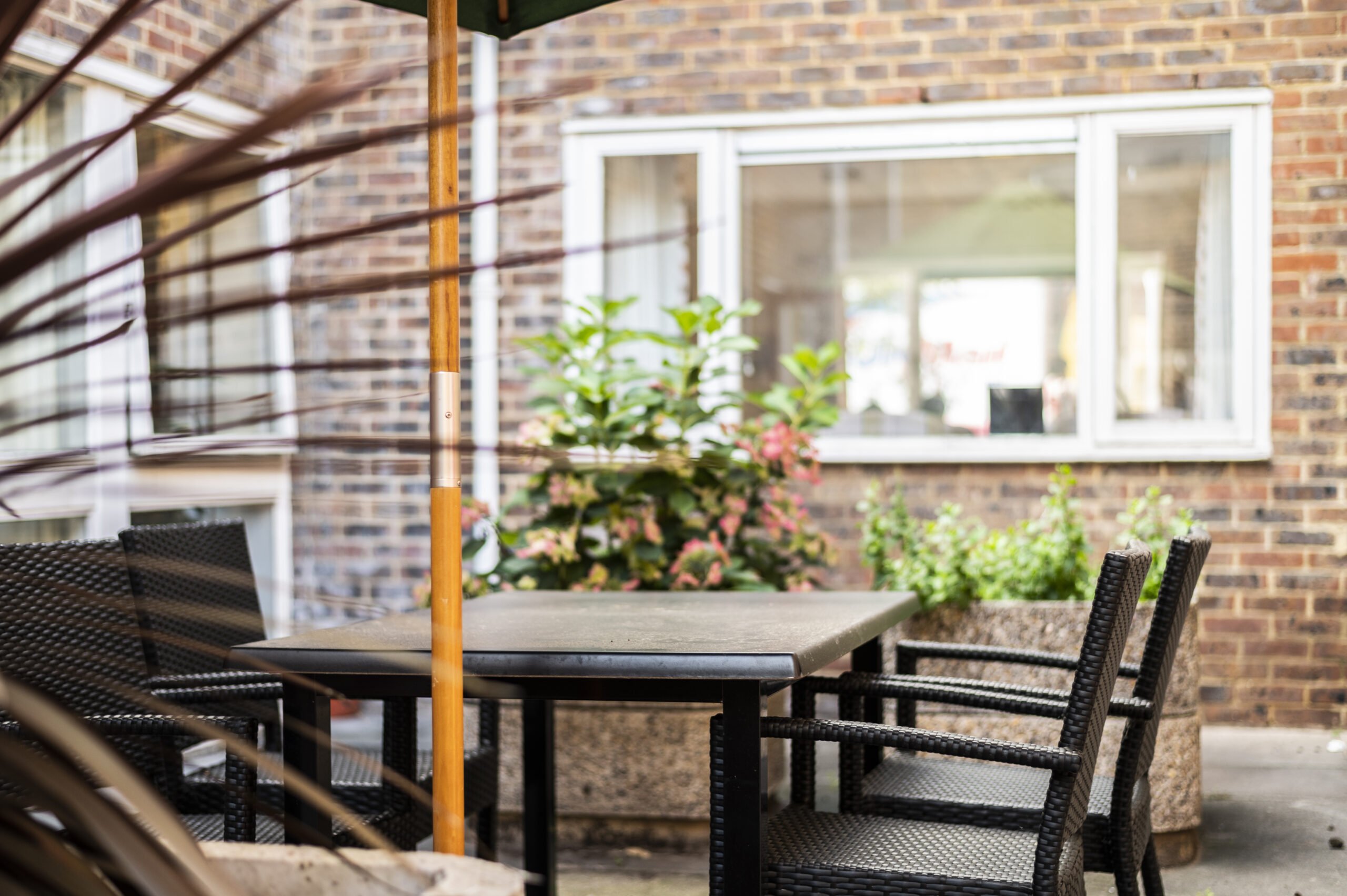 garden_outdoor
