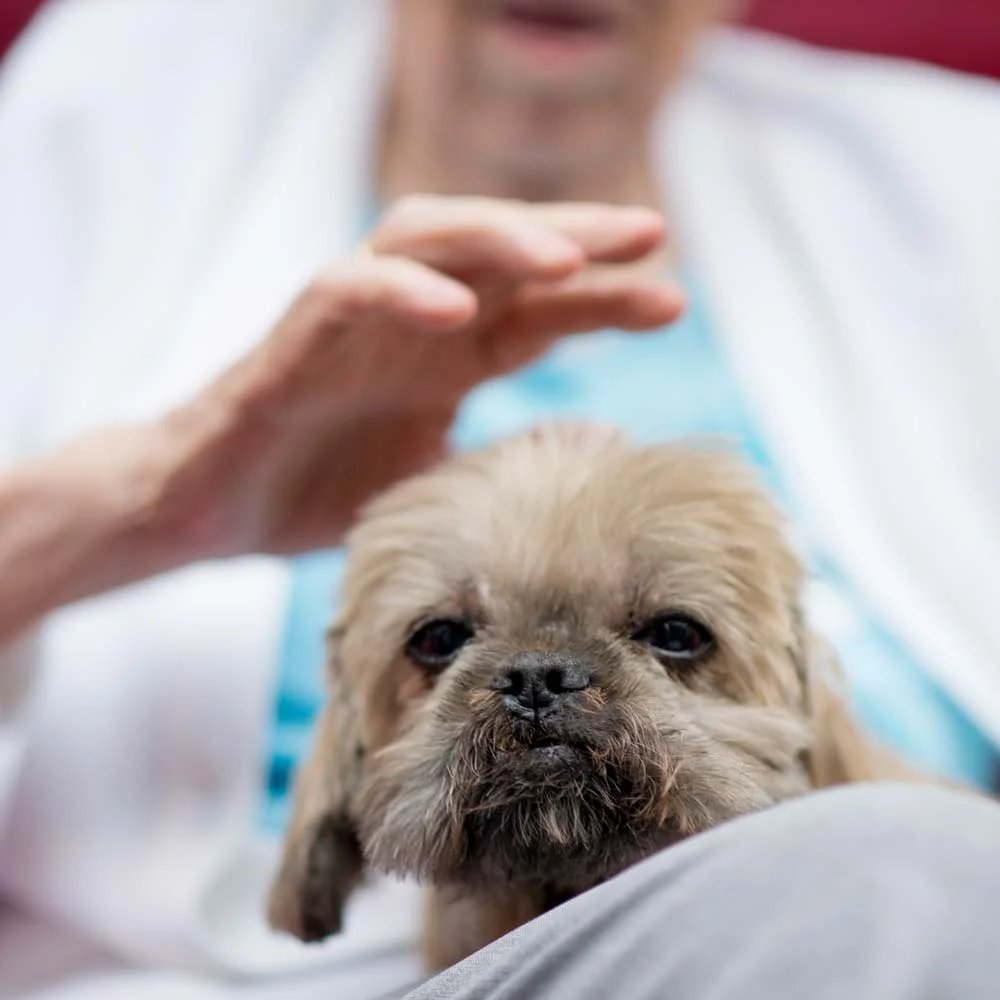 Avon House Dementia Care Home