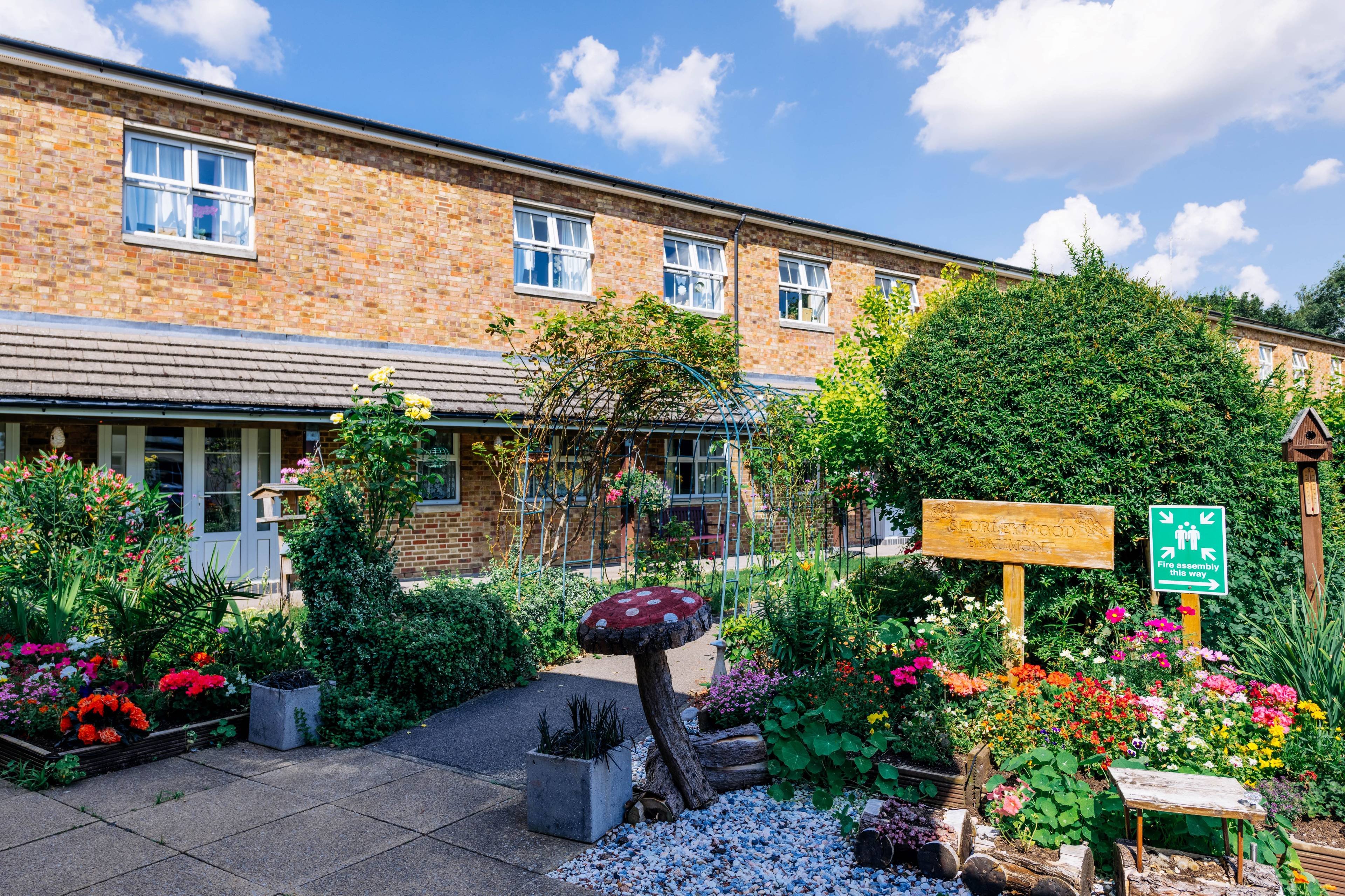 garden_outdoor
