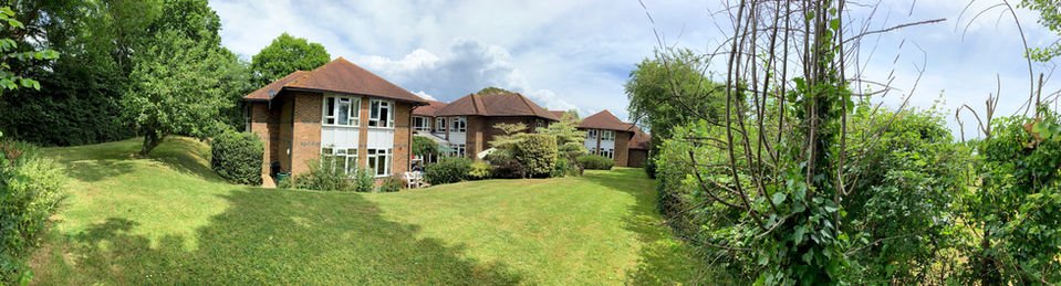 garden_outdoor
