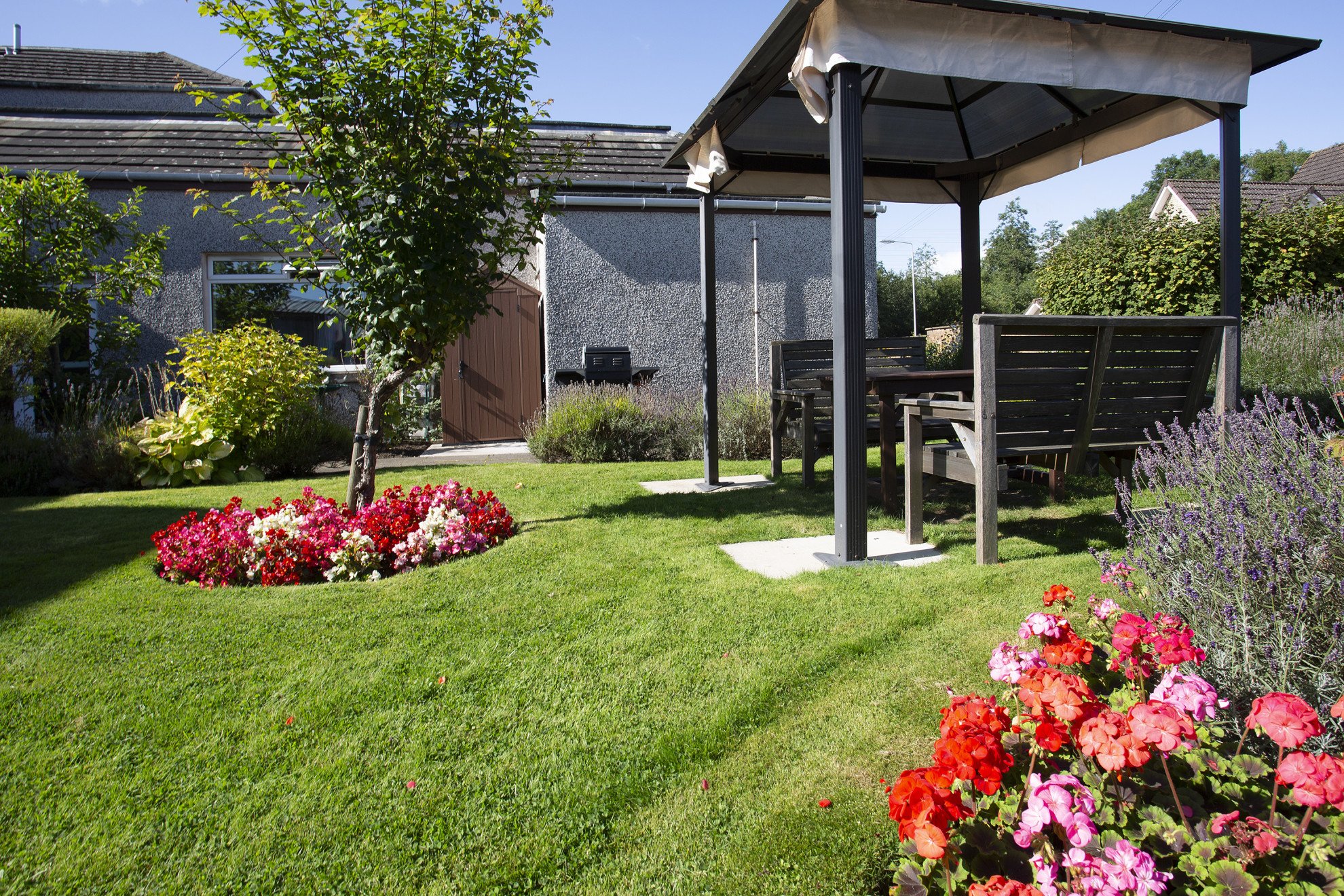 garden_outdoor