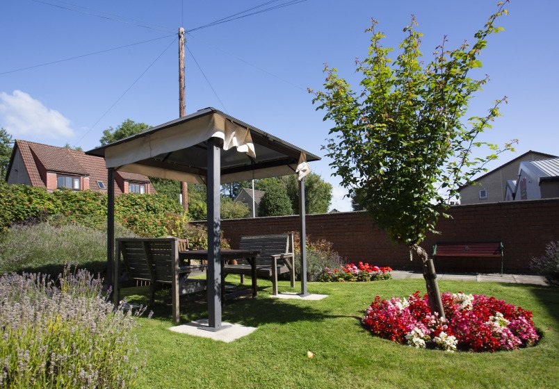 garden_outdoor