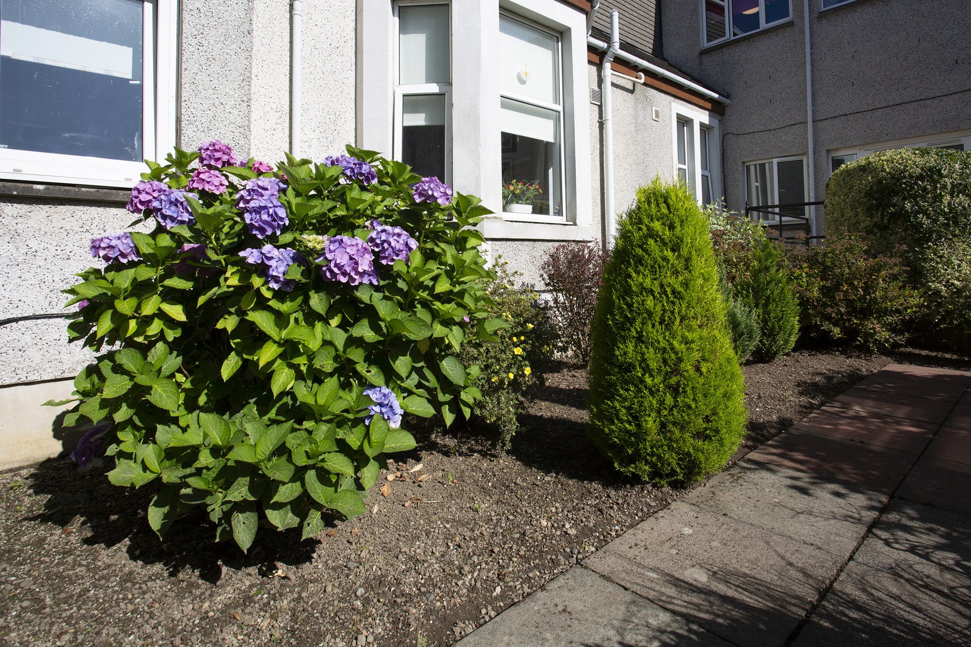 garden_outdoor