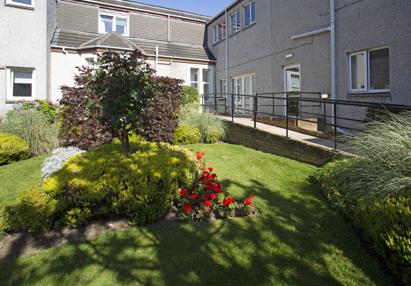 garden_outdoor
