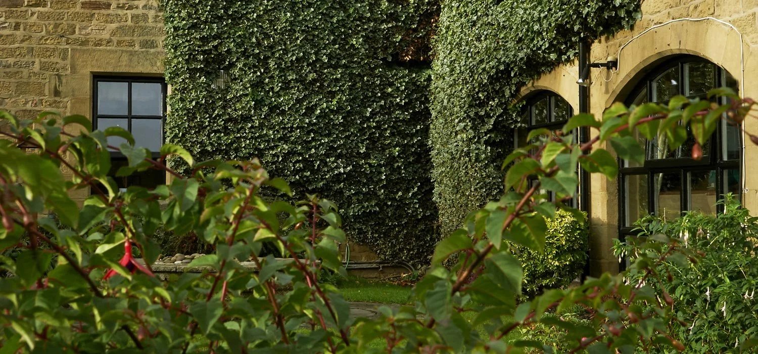 garden_outdoor