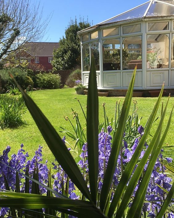 garden_outdoor