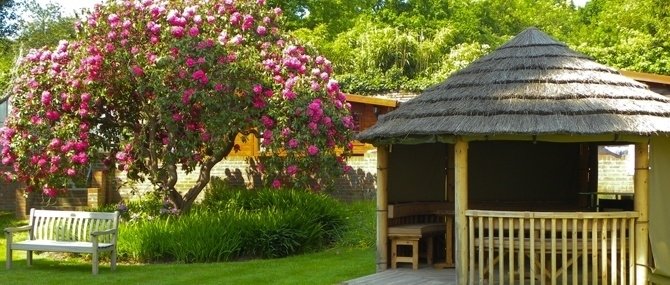 garden_outdoor
