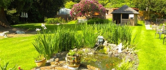 garden_outdoor