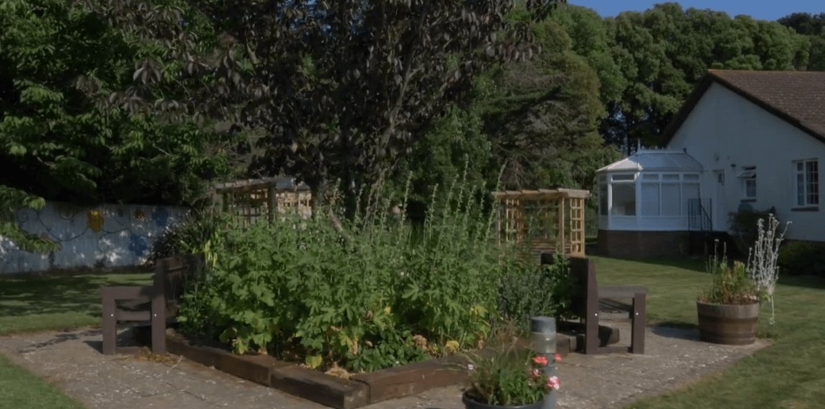garden_outdoor
